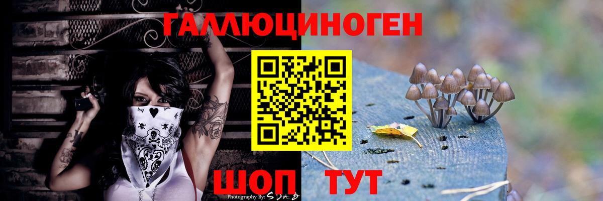 Галлюциногенные грибы Psilocybine cubensis Озёры